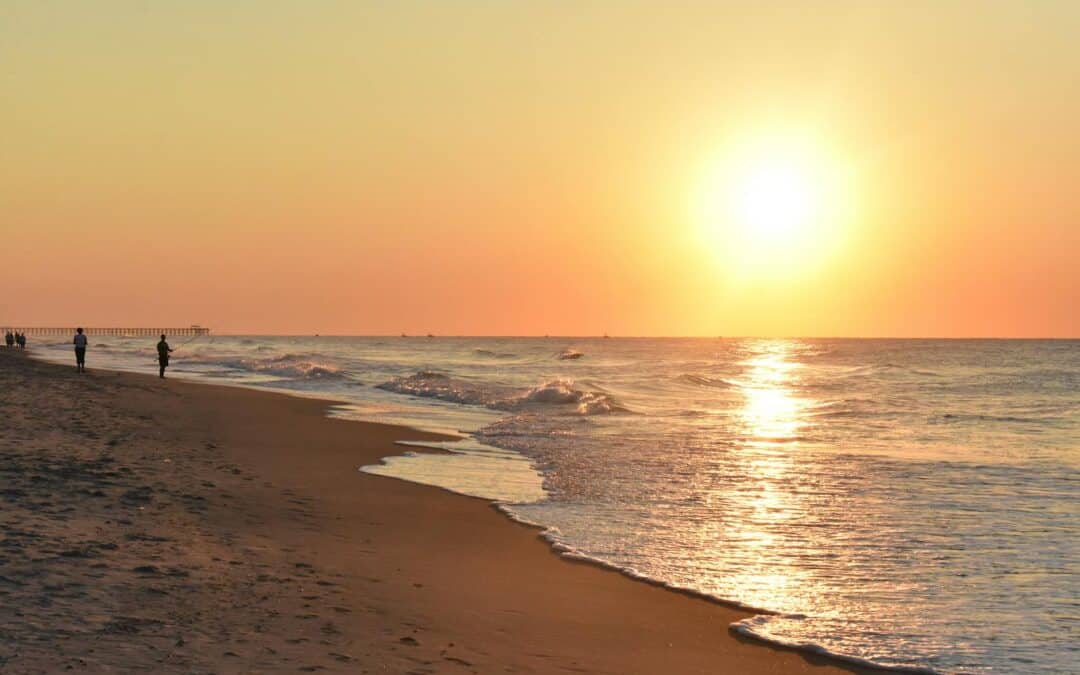 Enjoy Myrtle Beach State Park in 3 Days: The Perfect Itinerary