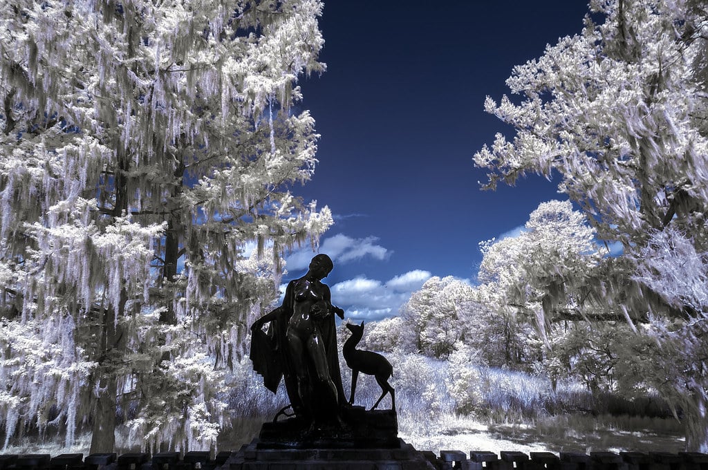 70a1f29e 4824 4c34 ad83 d27119573c68