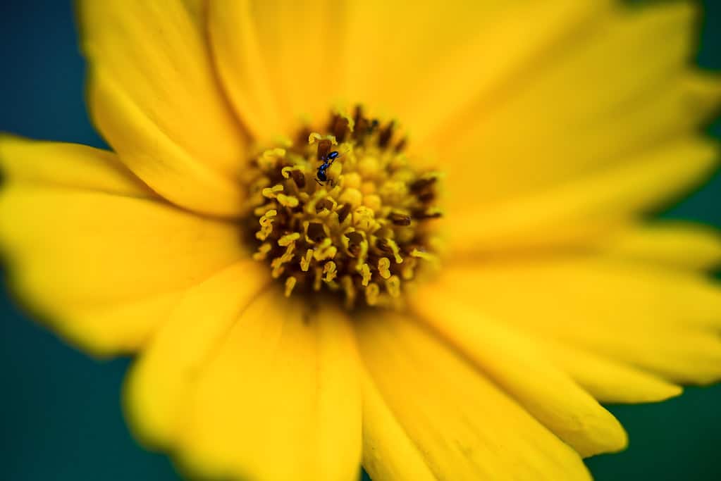 7588d224 e9d4 41cc b467 9976e0c18561