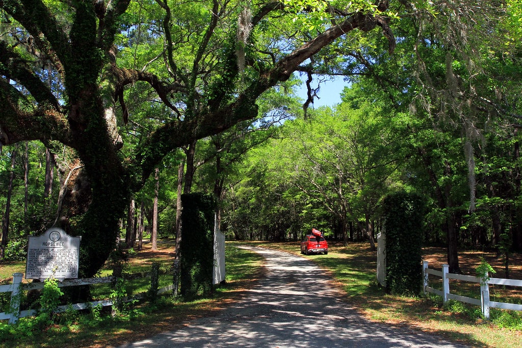 87bd8136 301d 4b44 b3f1 8973a6b4cc40