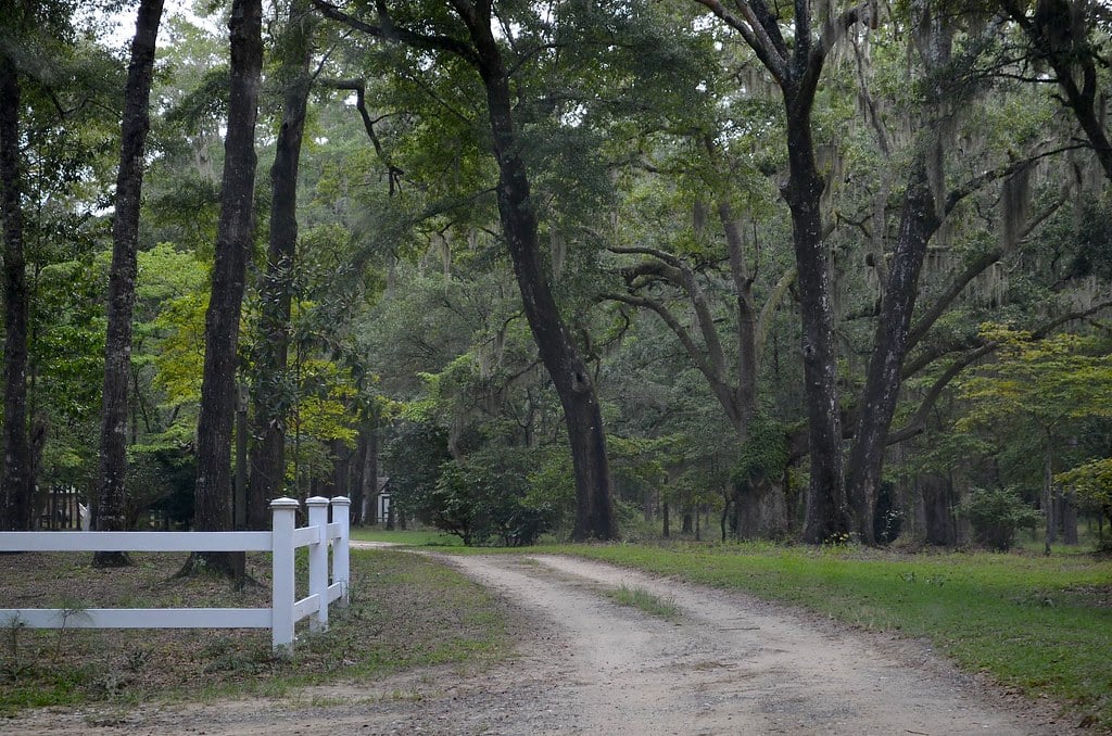 b1d1f852 5c25 4054 8a3b 4576c5ad8b95