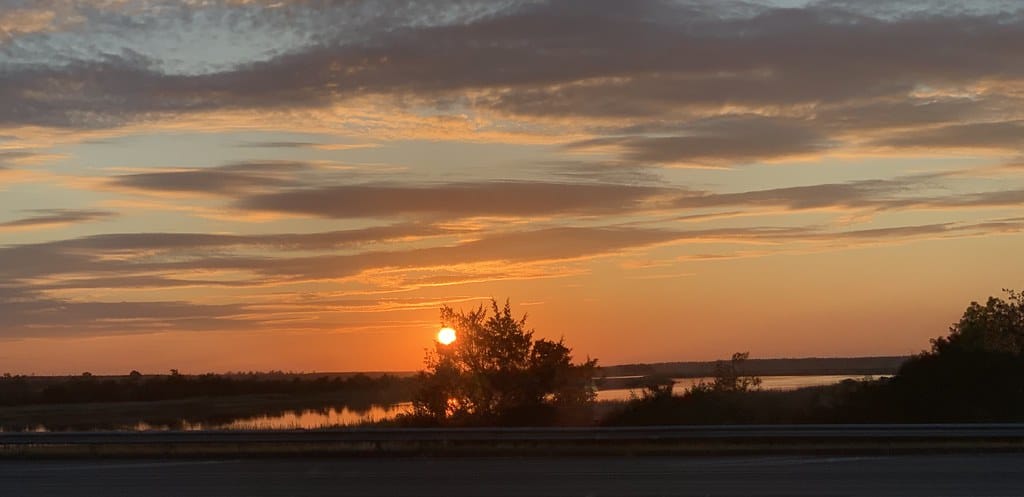 Exploring Brookgreen Gardens | A Myrtle Beach Gem