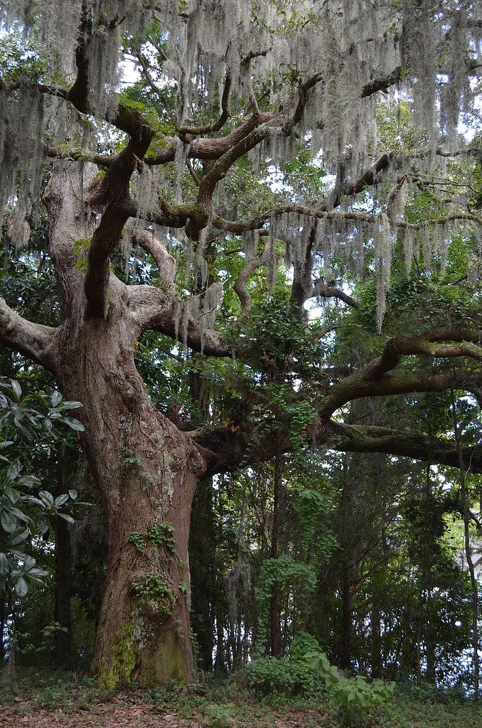 bd149f0f f152 4298 b946 67e24493b77e