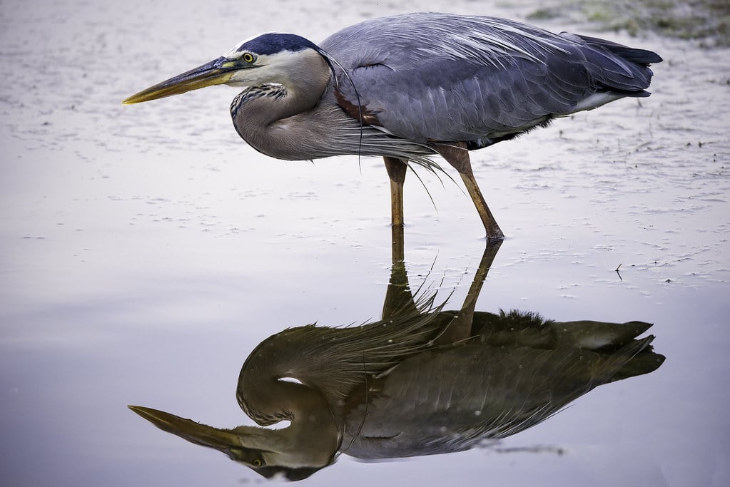 c5ccd461 5dfc 4464 88d3 11498fe6d8b8