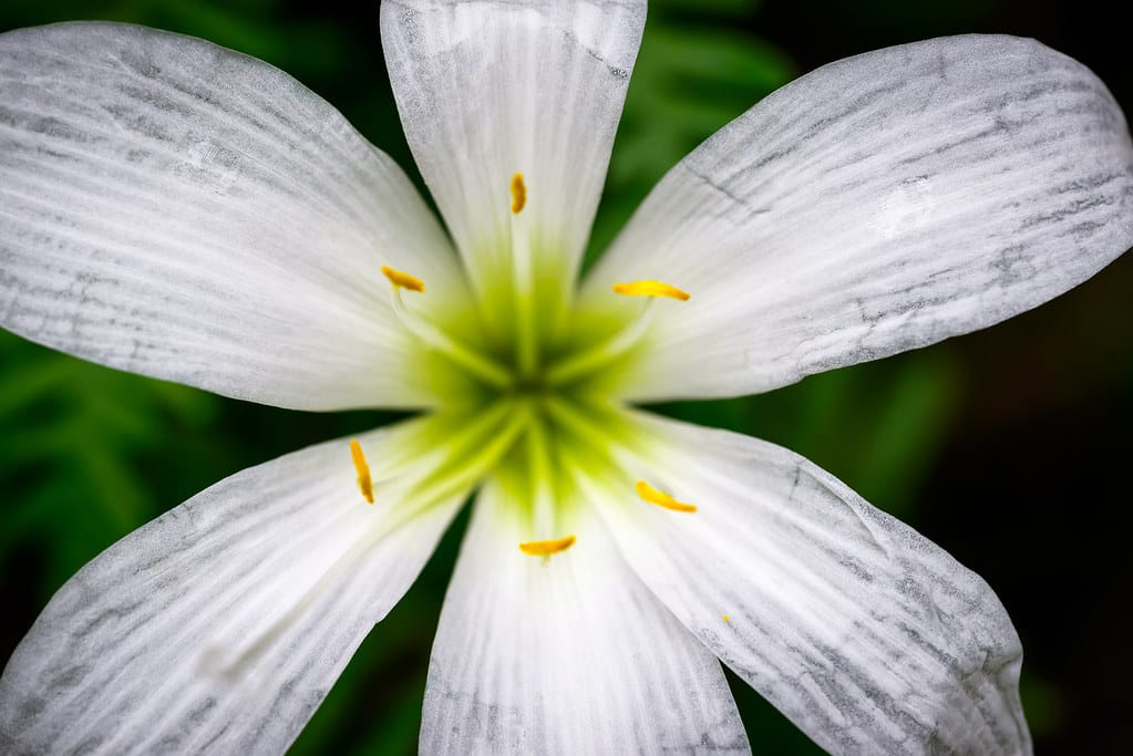 ddabcc9a 6164 4ed9 835c 17662fe089c6