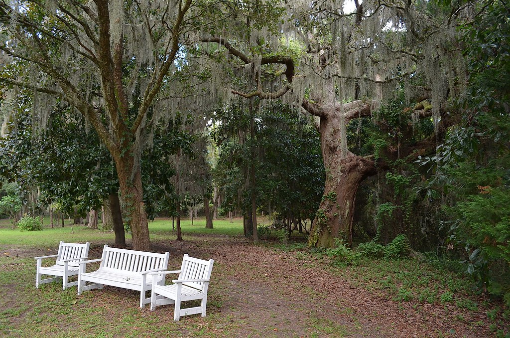 e700f9a5 a3dc 4de8 a814 5e9e5c572c8f