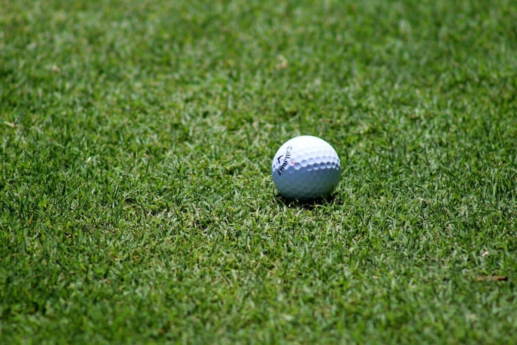 Close-up of a golf ball resting on a beautifully maintained green fairway, perfect for a sunny game day.