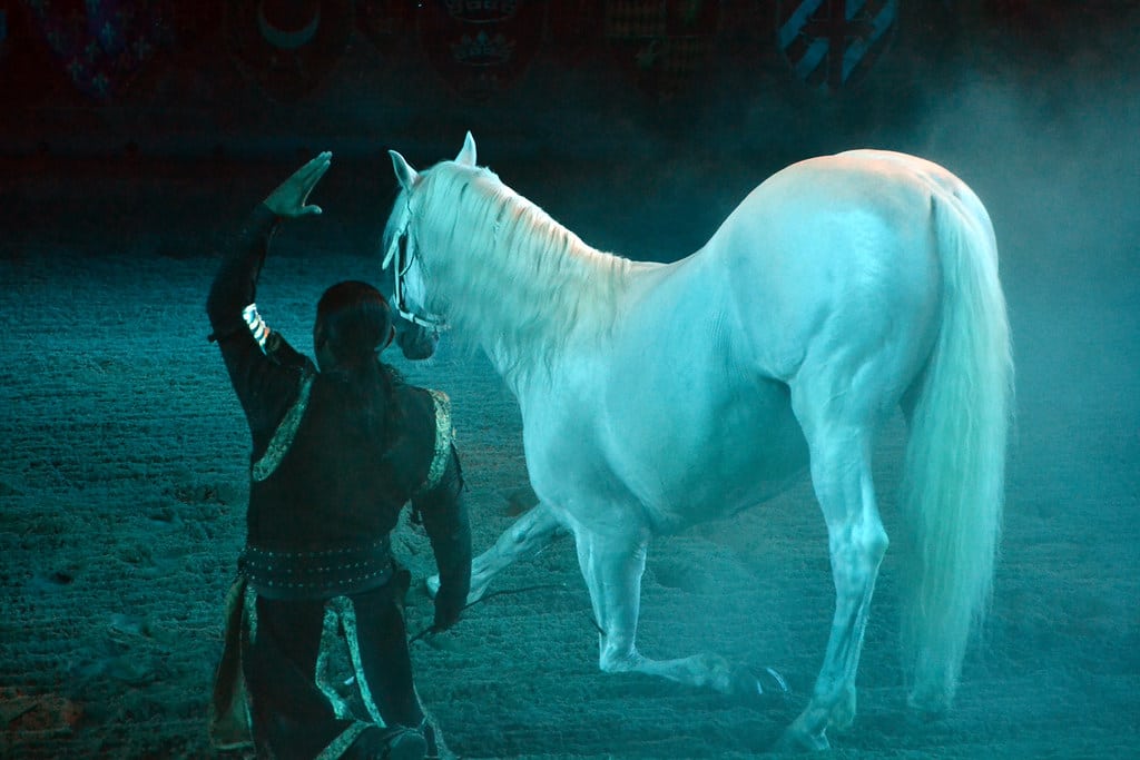 7f065141 2219 4b09 9882 460745bb4e2e