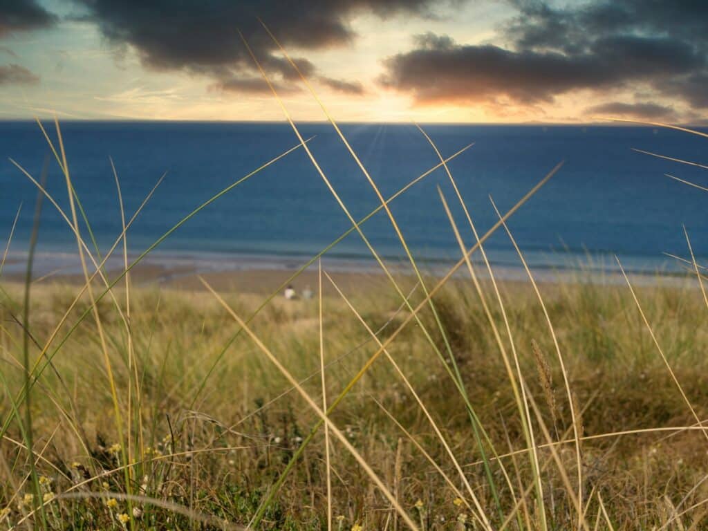 a view of the ocean from a grassy area