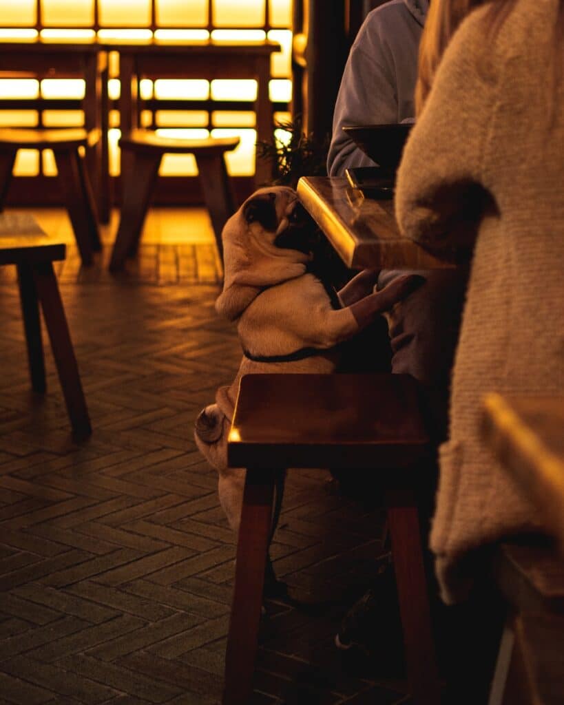 man in white long sleeve shirt sitting on brown wooden chair