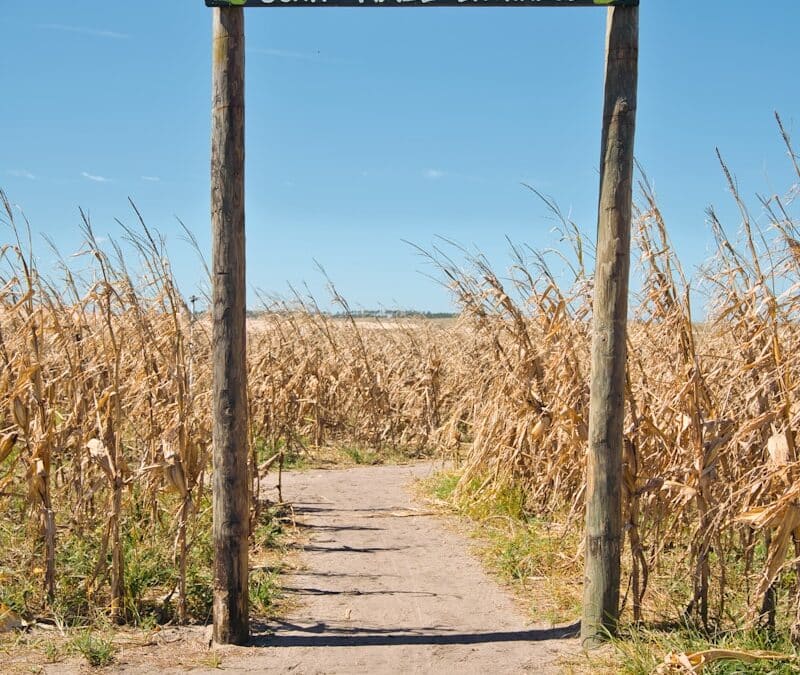 Fall Festivals in Myrtle Beach: Celebrate the Season with Food, Music & Family Fun