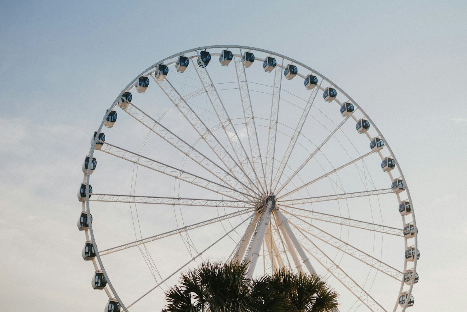 low-angle of white ferris wheel Things to Do in Myrtle Beach This Fall | Relax, Explore and Enjoy Fewer Crowds