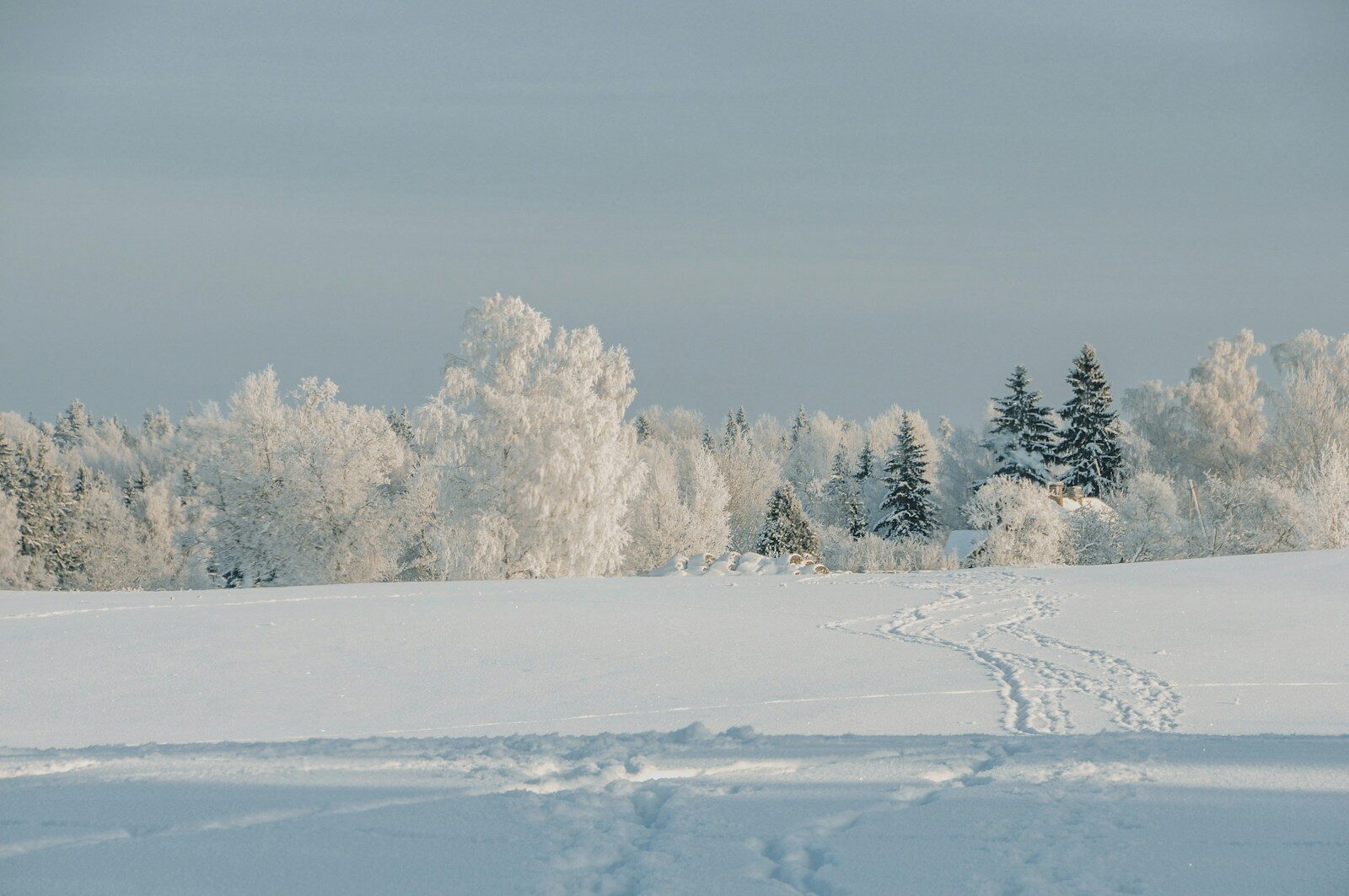 a snowy field with trees Professional RV Winterization Services Now Available in Myrtle Beach