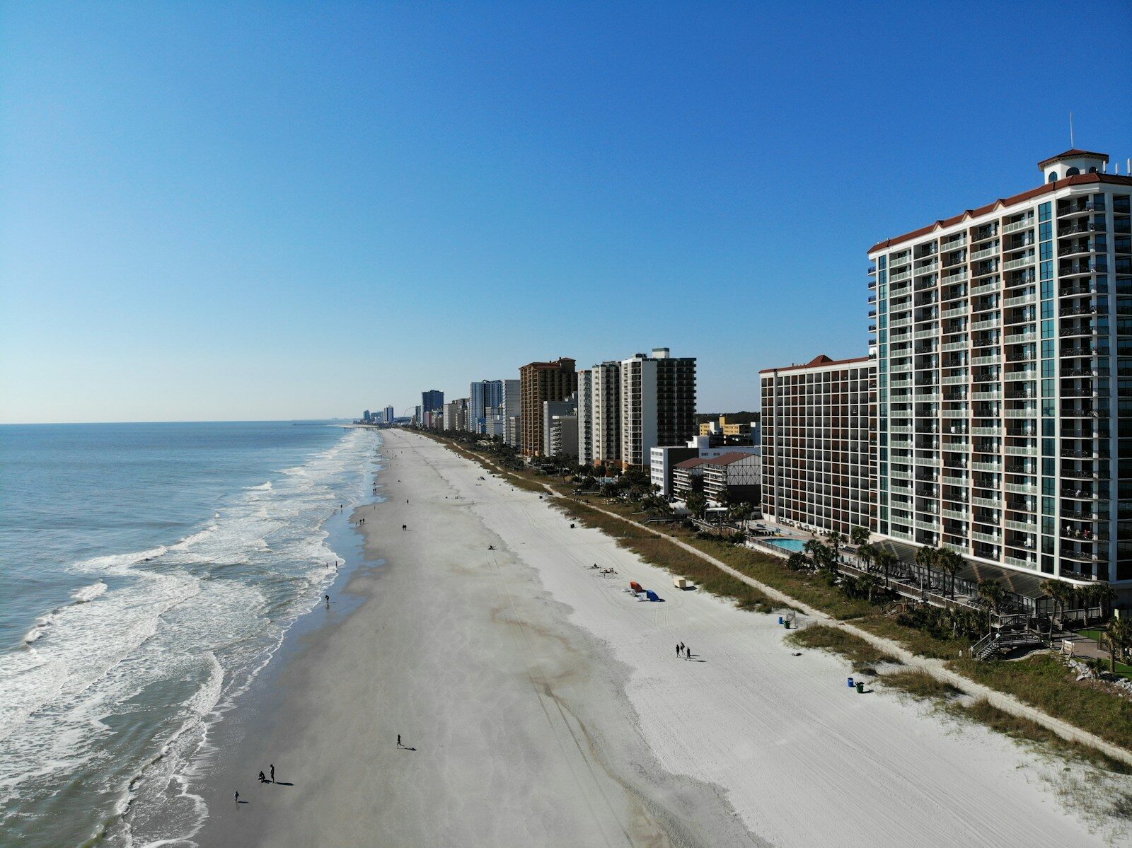 high-rise buildings near seashore Why Myrtle Beach State Park Is a Must-Visit for RVers in 2026