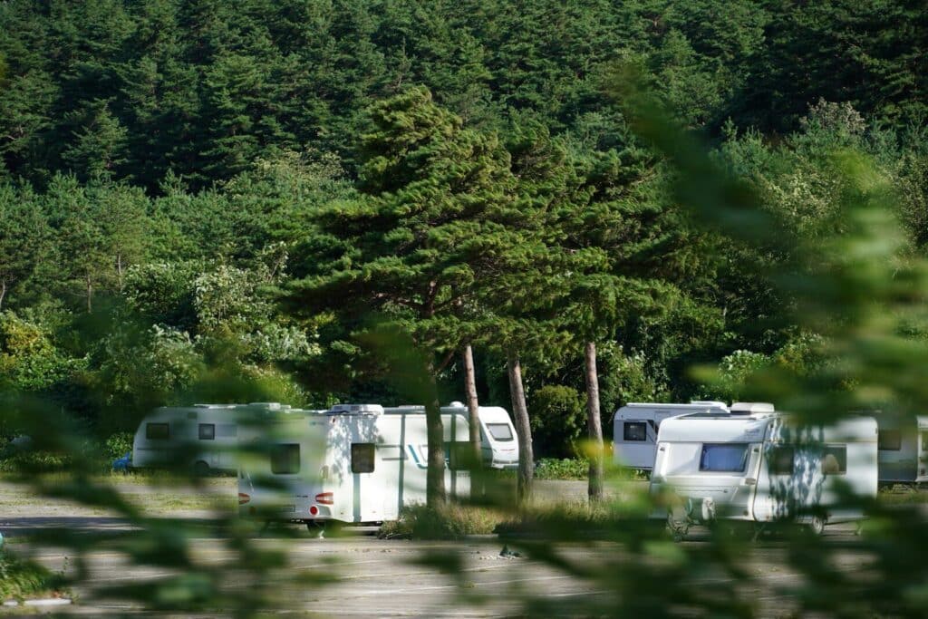 A group of campers parked in front of a forest