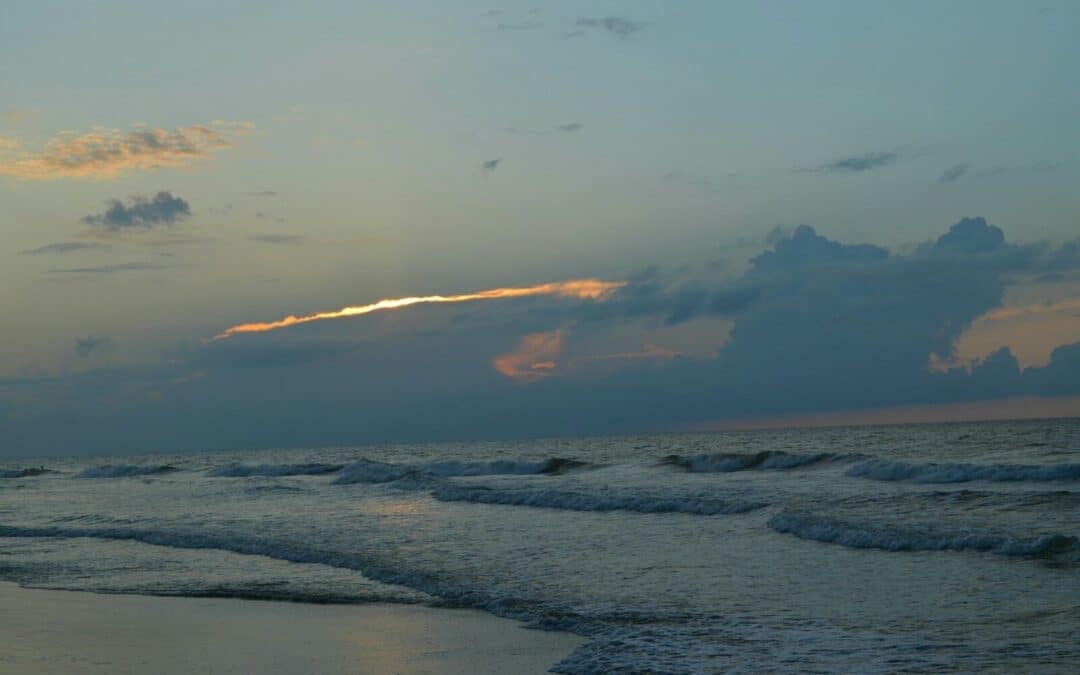 The 2026 Traveler’s Guide to Myrtle Beach RV Resort