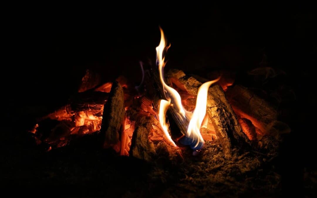 Hipcamp Review: Everything You Need To Know