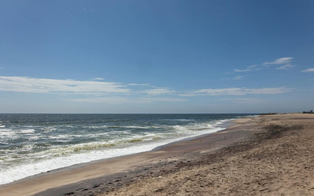 All You Need To Know About Litchfield Beach SC