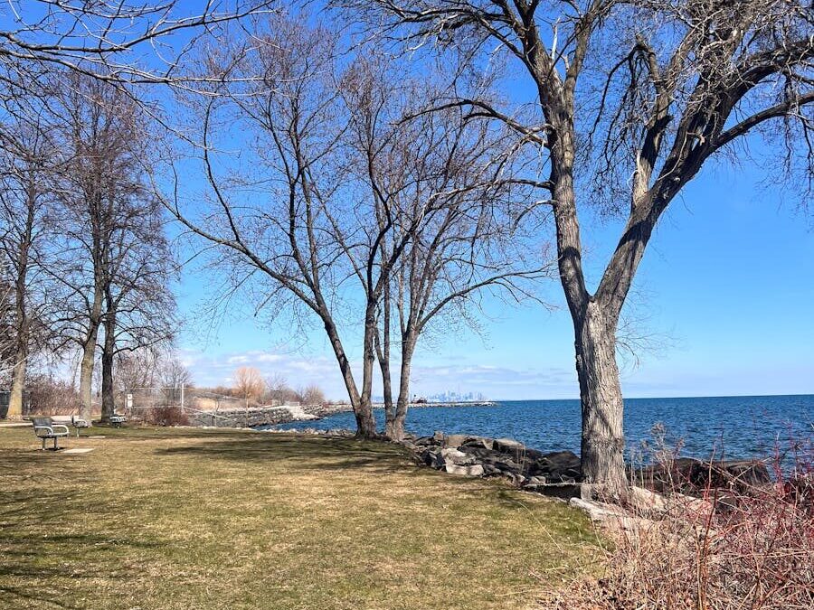 Here Is Why You Should Visit The Beautiful Lake Ashley Park