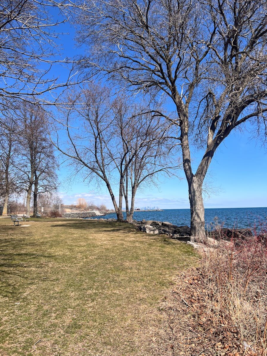 Peaceful spring afternoon along Toronto's Lake Ontario shoreline with bare trees and clear blue sky.