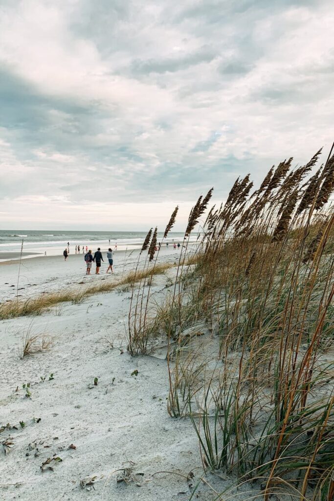 A tranquil scene of Jacksonville Beach with sand dunes and beachgoers under a cloudy sky.