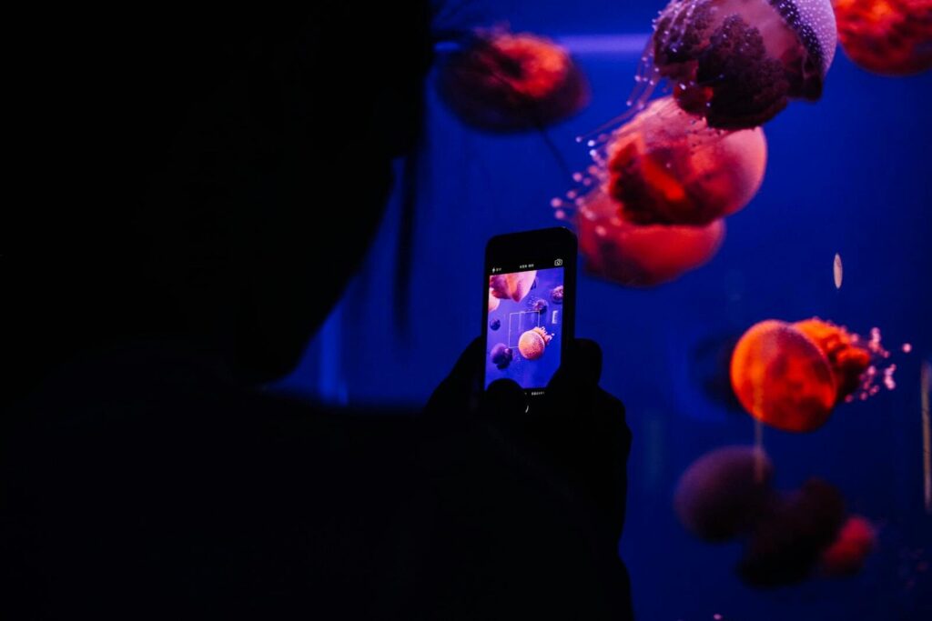 A silhouette of a woman photographing jellyfish in a vibrant aquarium display.