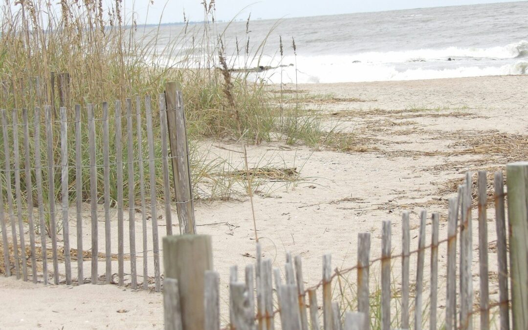 Visit Edisto Beach State Park!