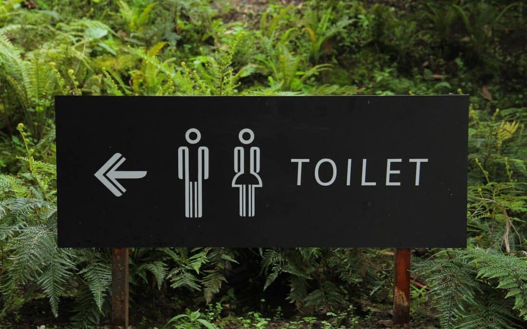 Unlocking the Secrets to Using an RV Toilet