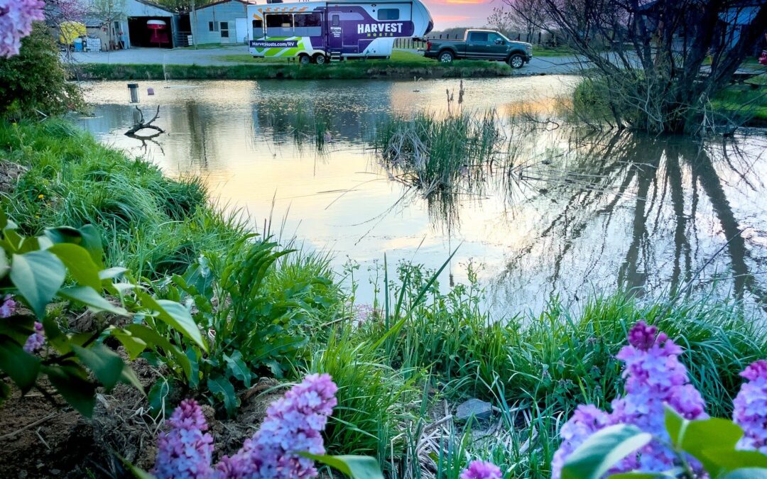 Hidden Marina & Campground: The Perfect Summer Getaway!