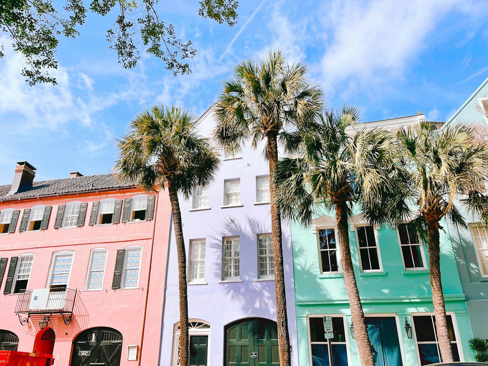green palm tree near white and pink concrete building during daytime