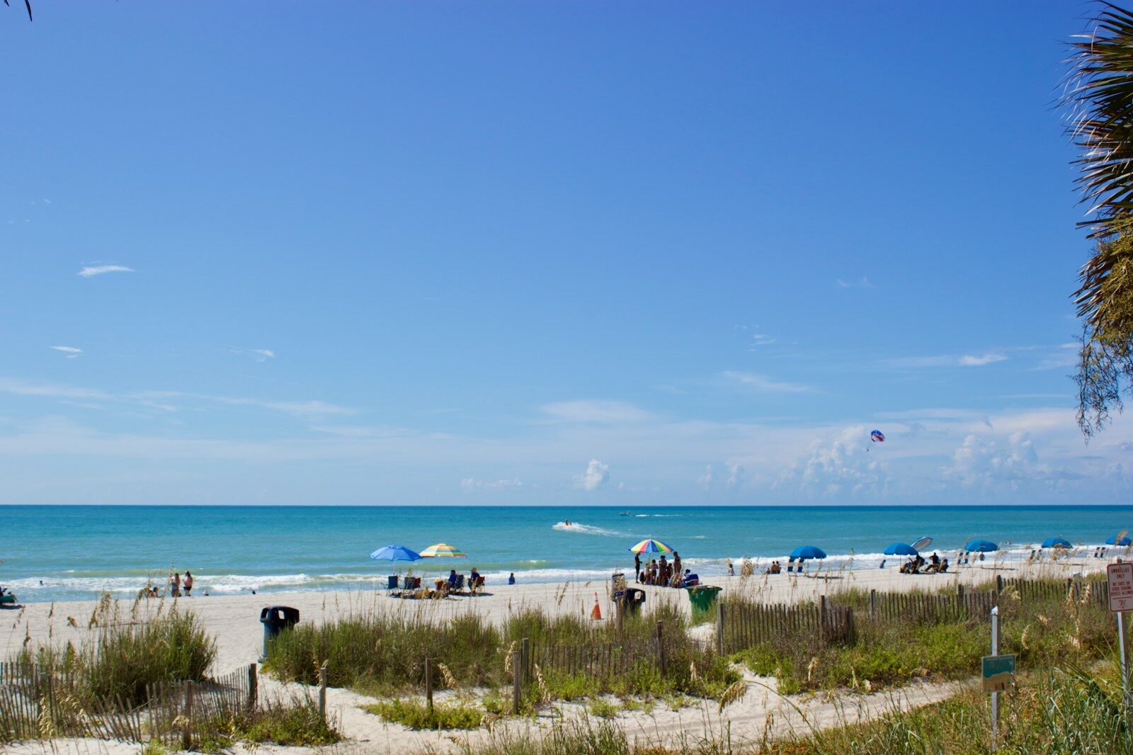 a beach with people and umbrellas