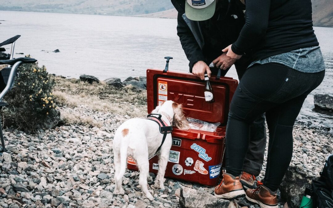 How To Choose The Best Coolers For Camping
