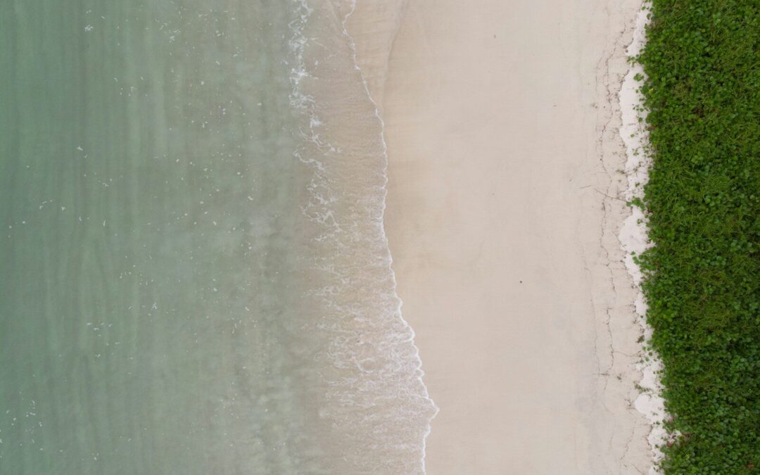 The Innovative Myrtle Beach Webcam