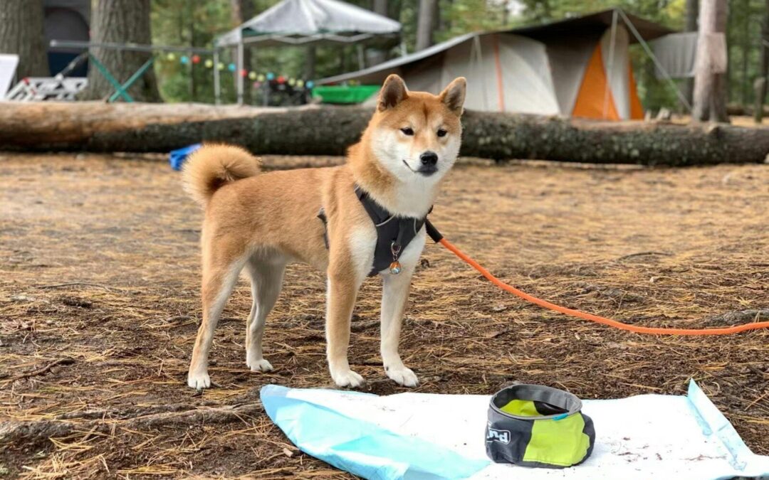 Camping Checklist For Fall Season