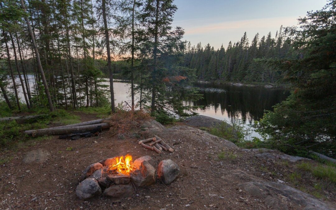 Pet-friendly Campgrounds, Myrtle Beach SC