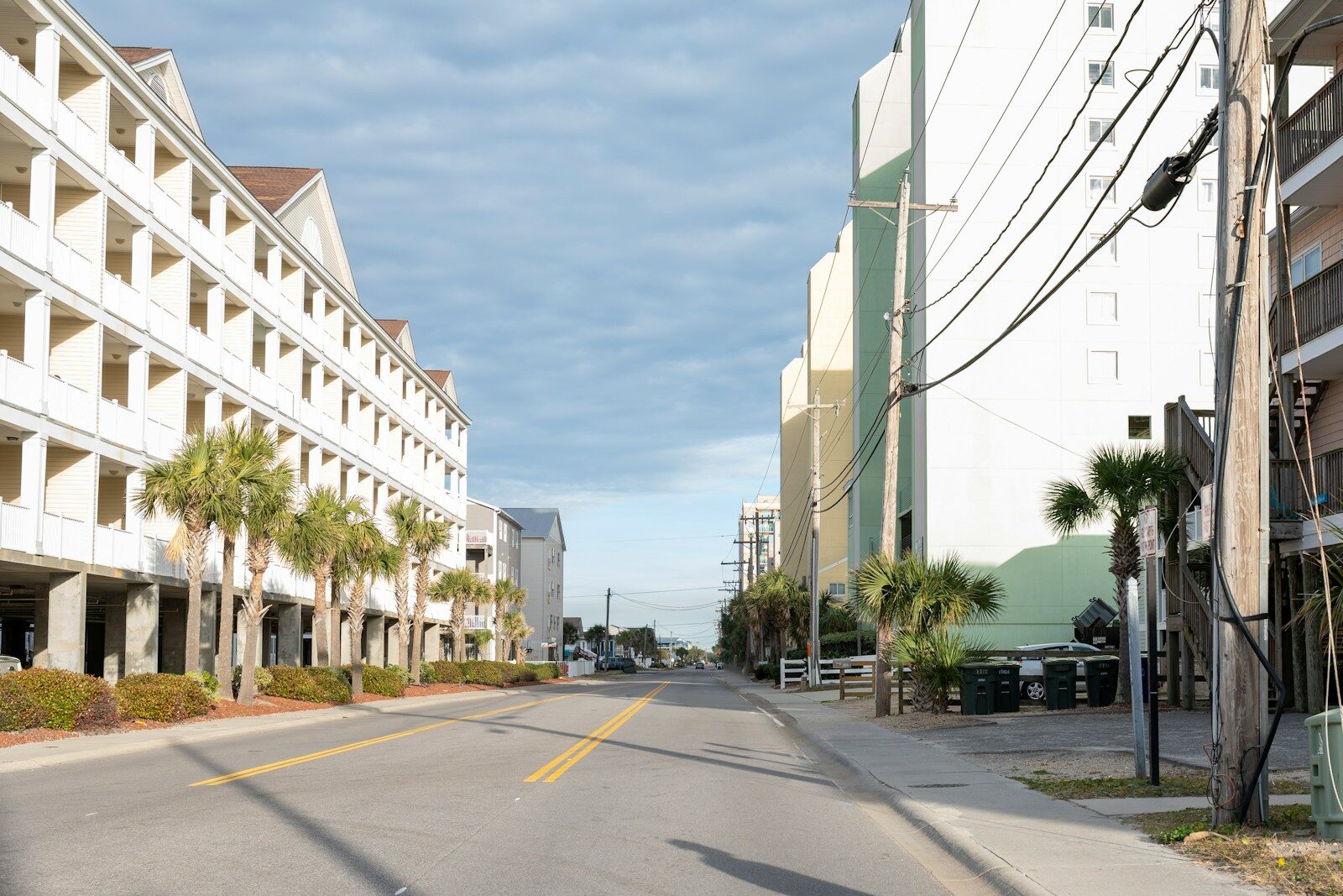 an empty street with palm trees and buildings in the background