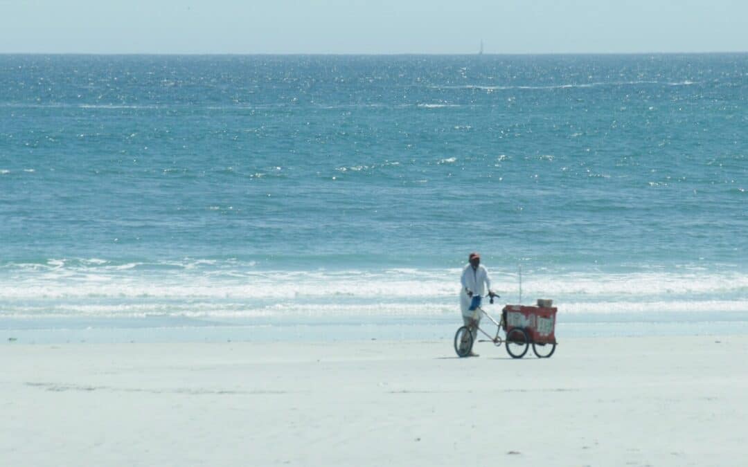 The Top Reasons Why You Need a Beach Wagon While Visiting Myrtle Beach