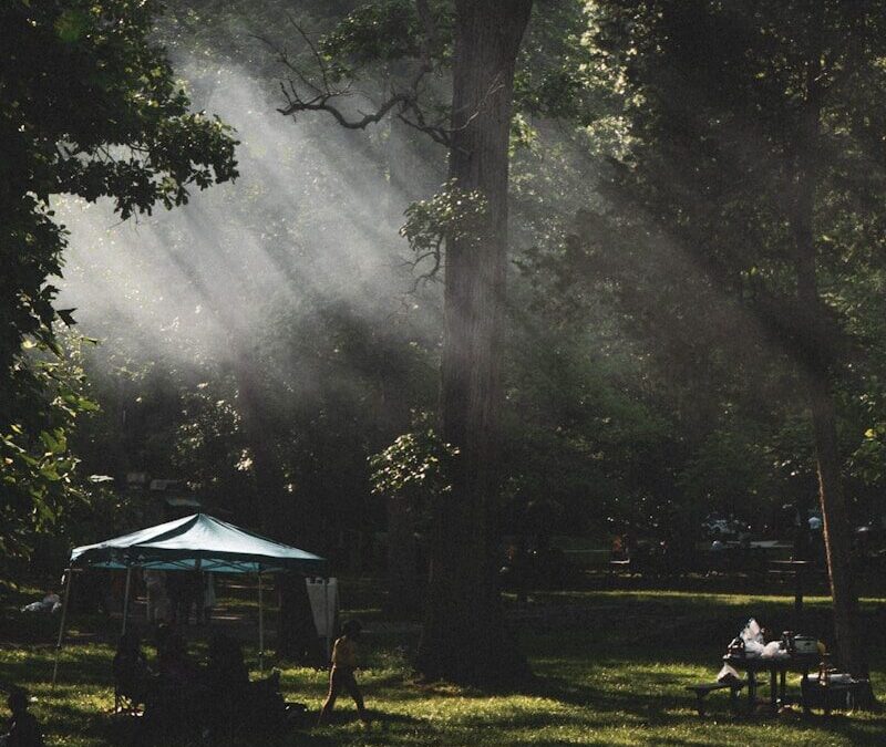 Fain’s RV Park – The Place To Be This Summer!