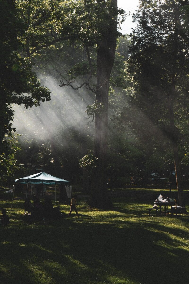 a person sitting on a bench under a tree