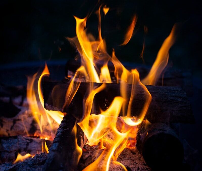 Explore Big Cypress Lake RV Park