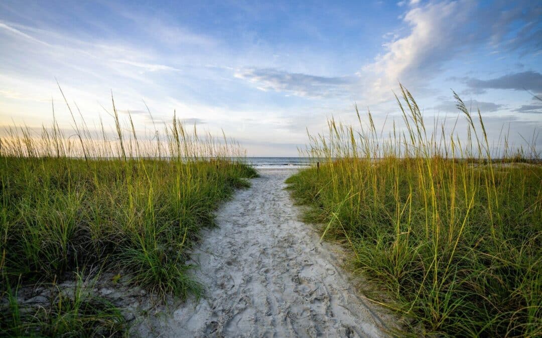 What Is the Best Beach in South Carolina for Your Next Getaway?