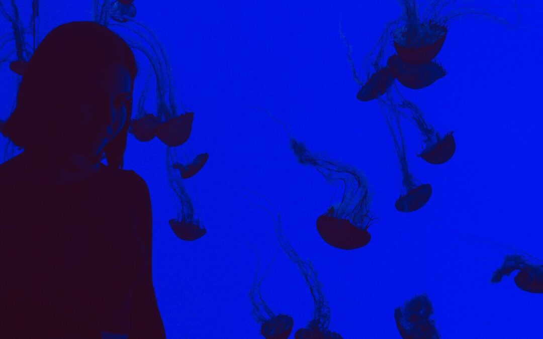 Discover the Wonders of Ripley’s Aquarium of Myrtle Beach