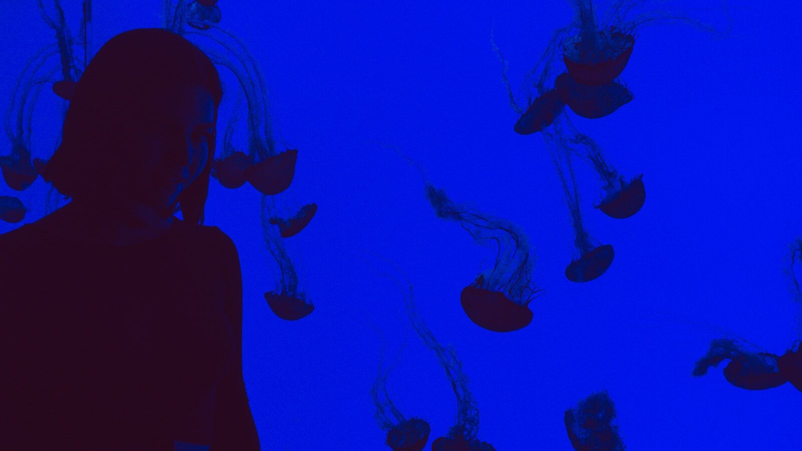 ripley's aquarium of myrtle beach