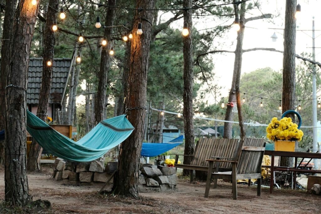 a hammock in the middle of a forest