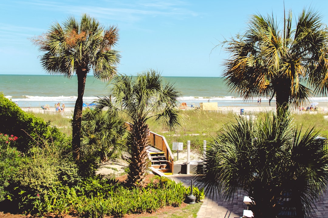 Myrtle Beach Hotel Room vs. RV Living Space: What the Comparison Actually Feels Like