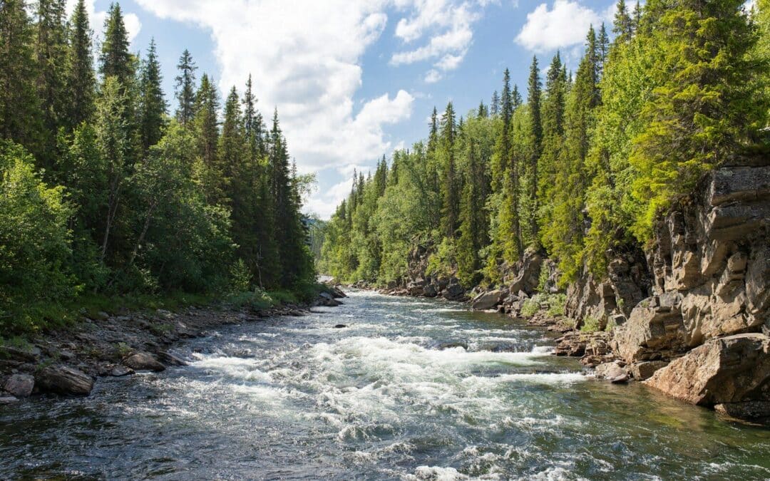 River Island Adventures: A Fun Outdoor Break From The Beach