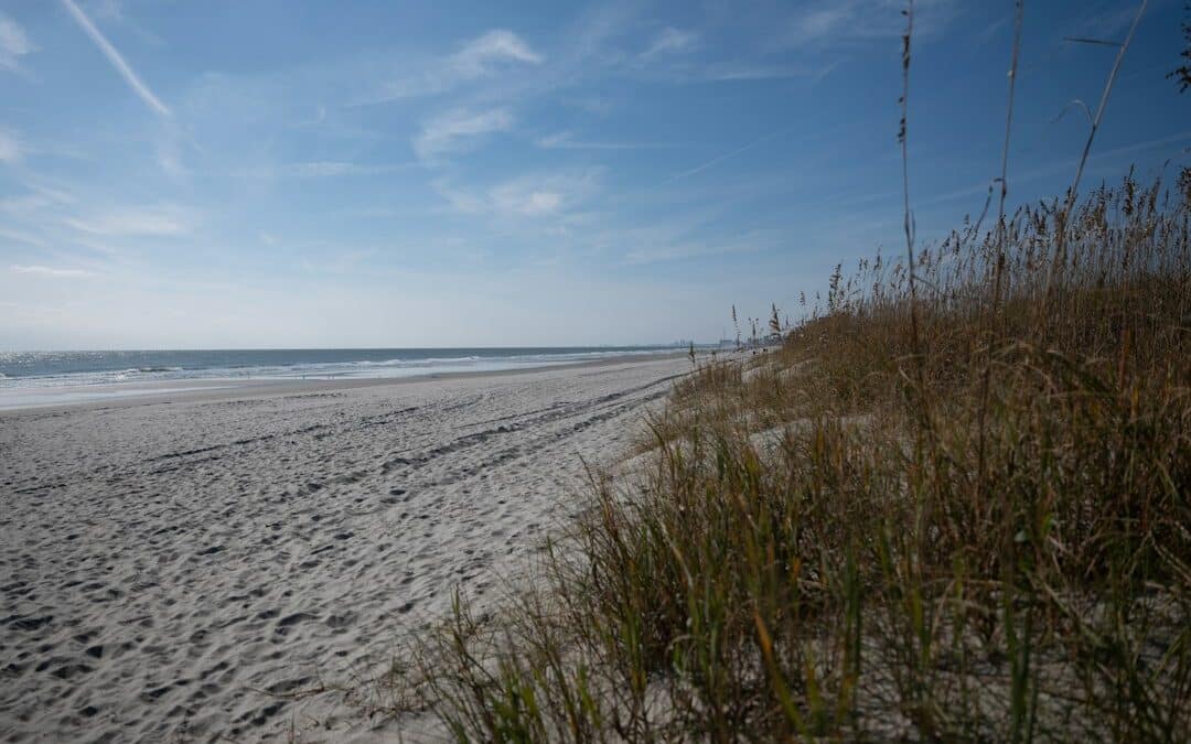 Myrtle Beach Jeep Jam: Your Guide to the Ultimate Jeep Weekend