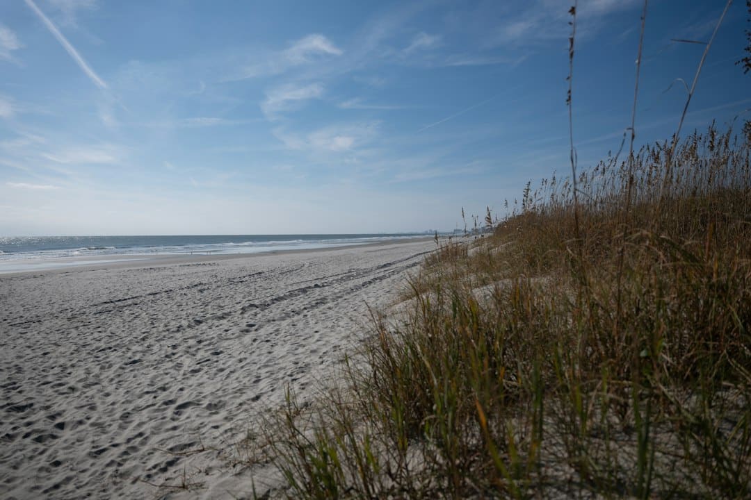 What to Expect on Main Street North Myrtle Beach
